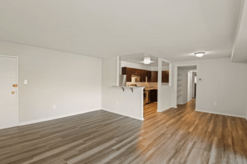 Carpet or hardwood flooring